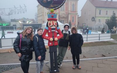 Učenici sudjelovali na Božićnom sajmu Goethe-Instituta