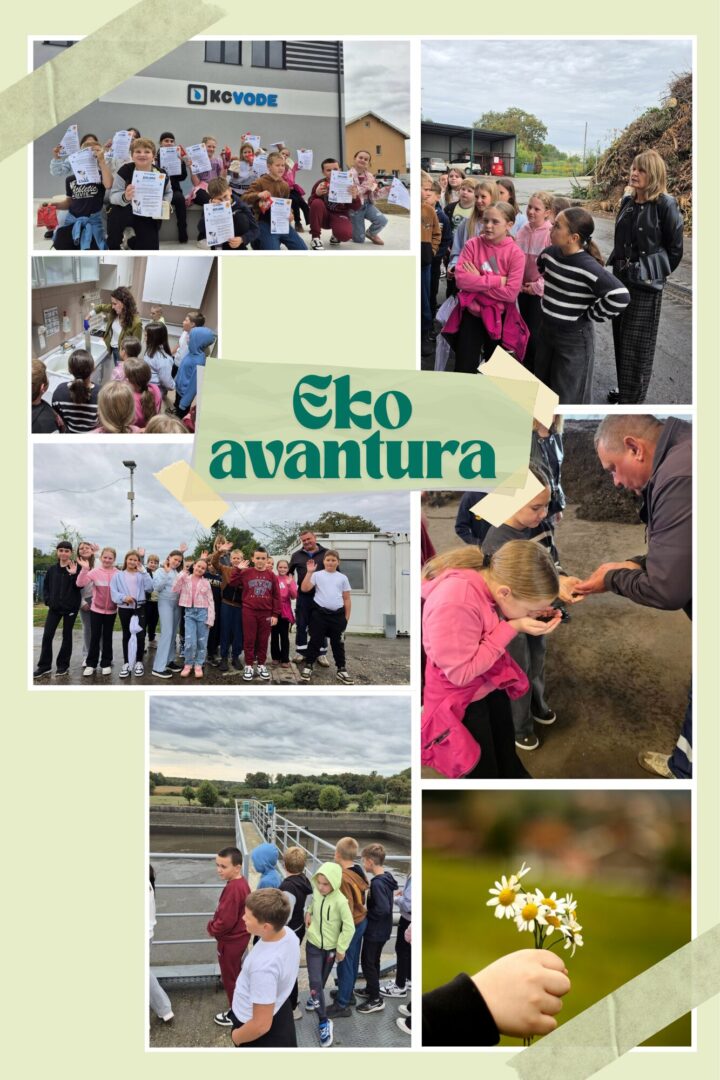 Eko avantura