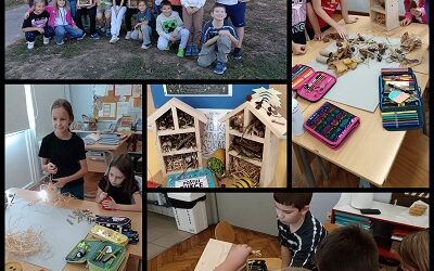 Izrada hotela za kukce – 3. c u Tjednu cjeloživotnog učenja
