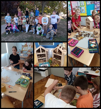 Collage_20261006_213409708